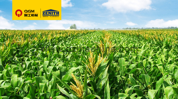 凯发网站T10全自动生产线落户玉米的故乡——记墨西哥首条全自动生产线